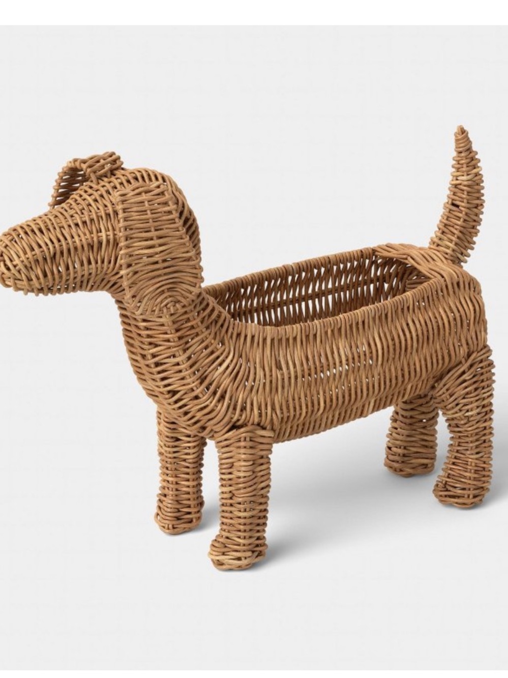 Rattan Dog Pencil Holder
- Threshold™